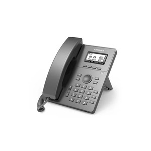 Flyingvoice P10 2 SIP IP Phone